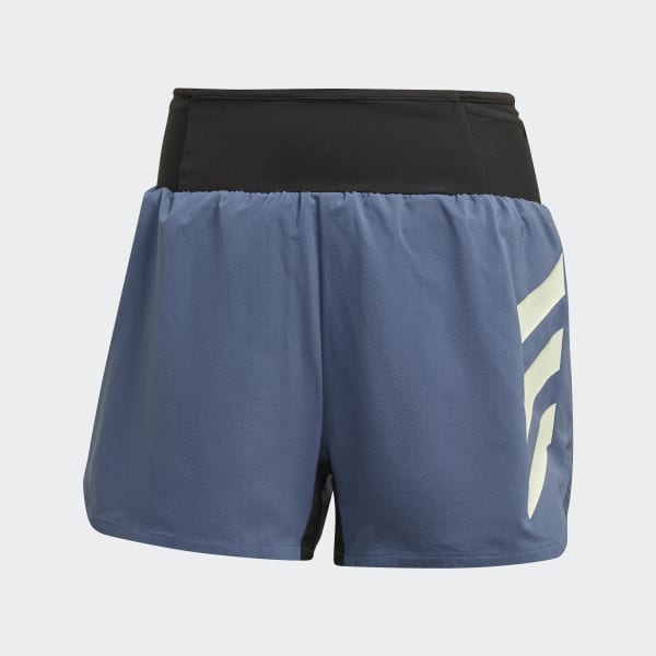 Blau TERREX Agravic Shorts