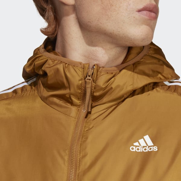 Marron Veste Essentials Insulated Hooded