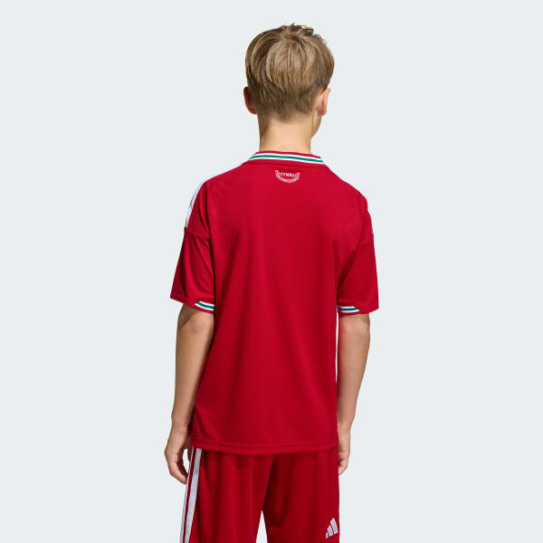 Red Wales 26 Home Kids Jersey