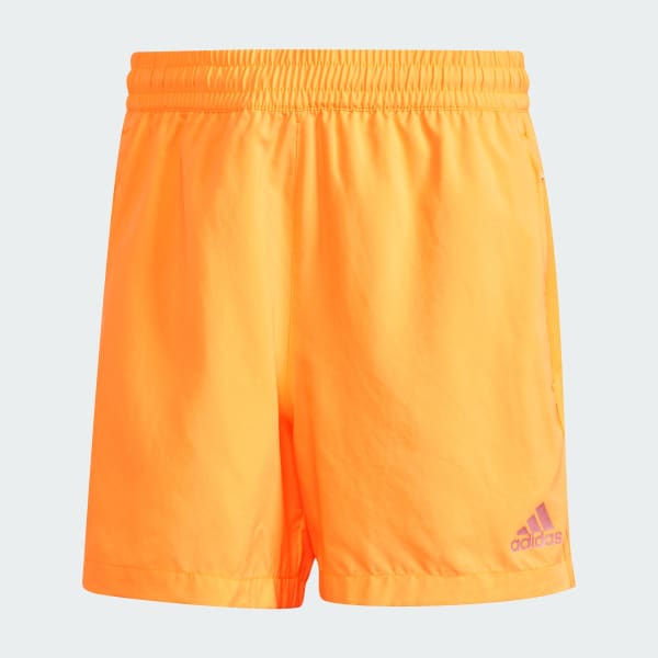 Orange Climacool Training Shorts
