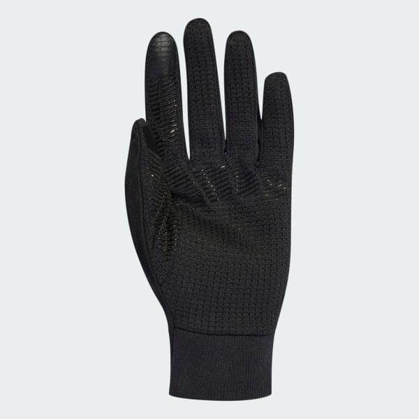 Noir Gants Terrex COLD.RDY