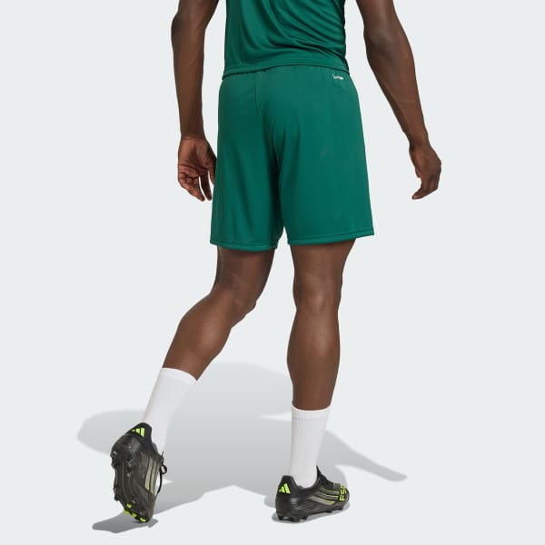 groen Entrada26 Short