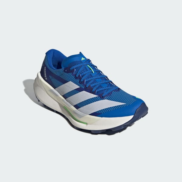 Azul Zapatillas Trail Running Terrex Agravic TT