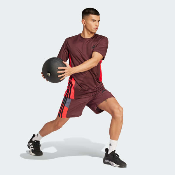 Burgundy Train Essentials Seasonal Colorblock Tee