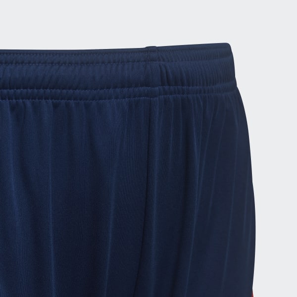 Blue Olympique Lyonnais 22/23 Away Shorts