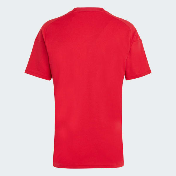 Adidas trikot ungarn 2025