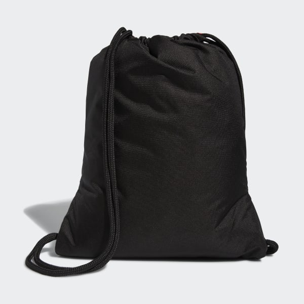 alliance 2 sackpack