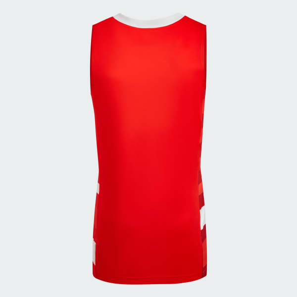 Camiseta de básquet 2025 adidas river plate