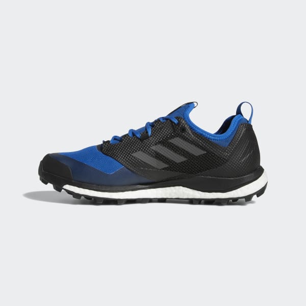 adidas terrex agravic gtx blue
