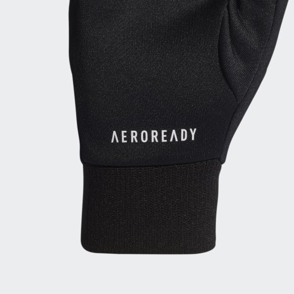 Black Terrex AEROREADY Gloves K6893
