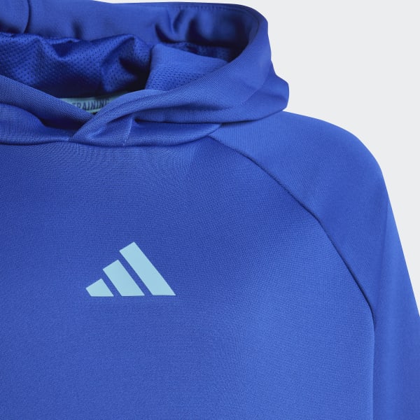 Bla Train Icons AEROREADY 3-Stripes hættetrøje
