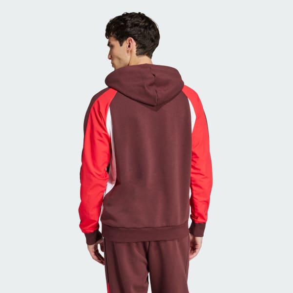 Burgundy Sudadera con capucha Seasonal Essentials Colorblock