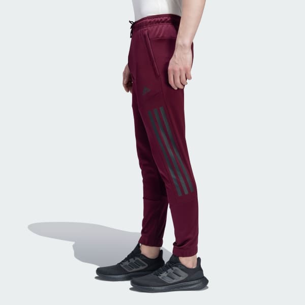 Burgundy WTR PANTS