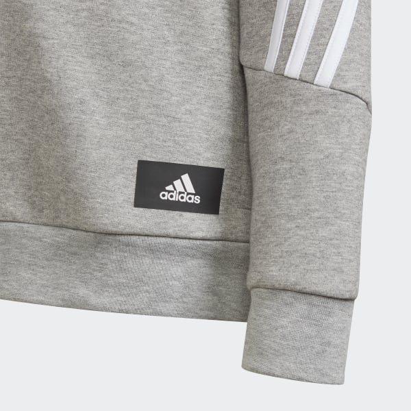アディダス スウェットパーカー ジュニア フューチャーアイコン スリーストライプス フルジップパーカー H Jeu39 Adidas ヒマラヤ Adidasパーカー グリーン 160ジュニアサイズs Chateaujoliet Com