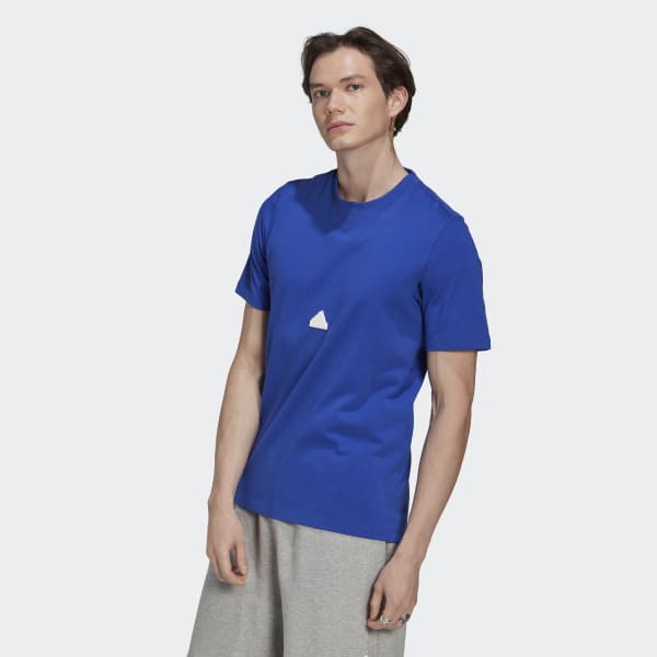 Azul Polo Classic DG305