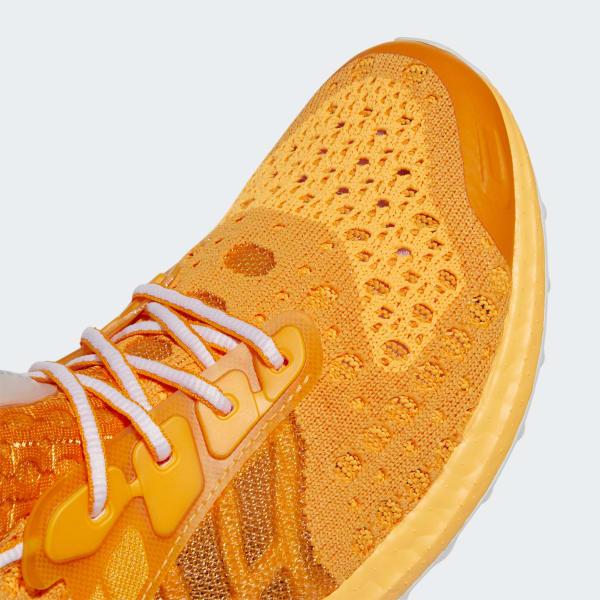 Ultraboost Climacool 2 DNA