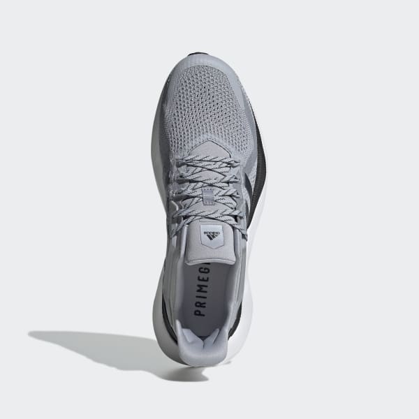 Grey Alphatorsion 2.0 Shoes