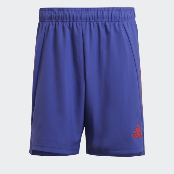 Lilla Condivo 21 Primeblue shorts