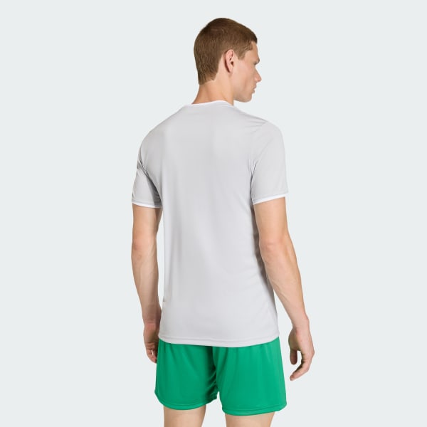 Grey Entrada26 Jersey