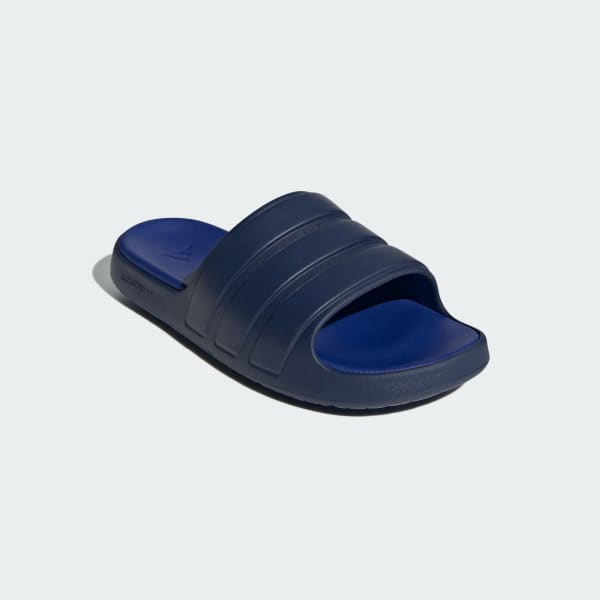 Blue Znsory Slides
