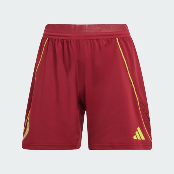 Burgundy Germany Tiro 25 Pro Training Shorts