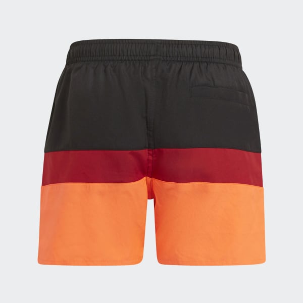 Negro Shorts de Natación Colorblock