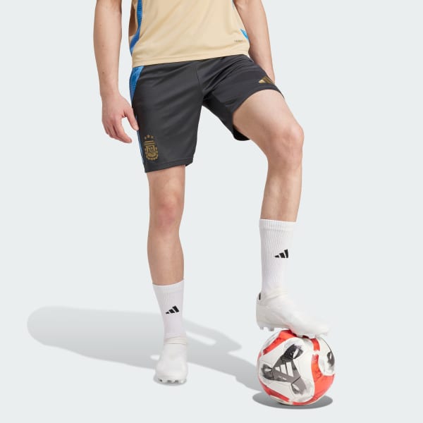 Gris Shorts de Entrenamiento Argentina Tiro 24