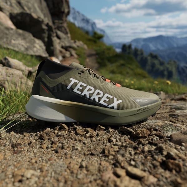 zelená Tenisky Terrex Agravic GTX Trail Running