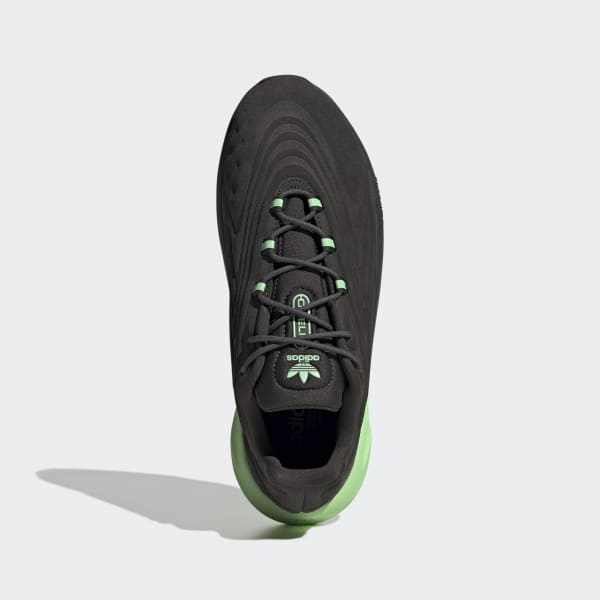 Gris Tenis OZELIA