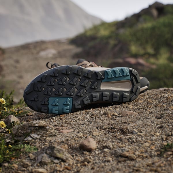 Brown Terrex Anylander Hiking Shoes