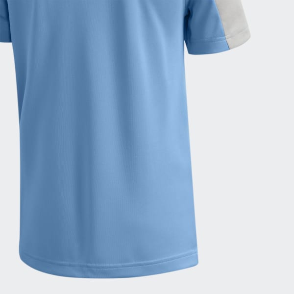 Blue Heathered Colorblock Polo Shirt GLA64