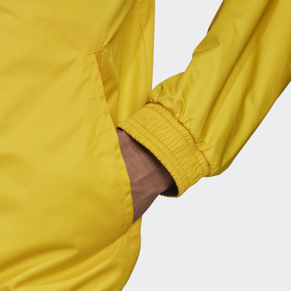 Blue Sweden Anthem Jacket