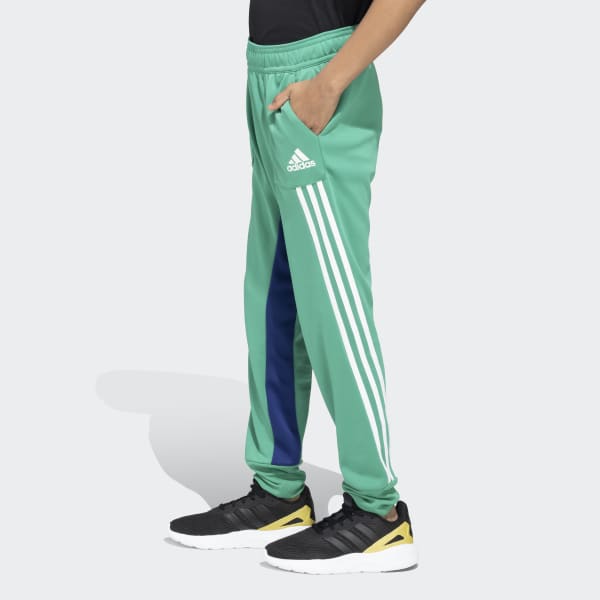 Pants adidas verde store militar