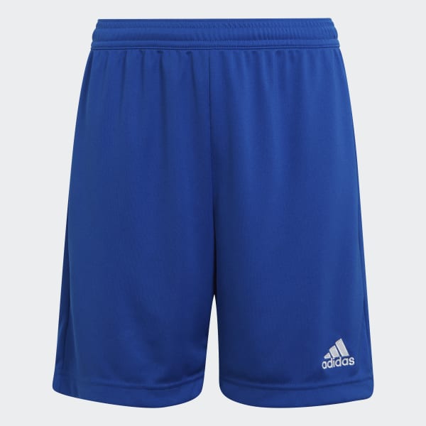 adidas Entrada 22 Shorts Blue adidas Thailand