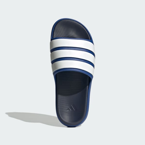 Blue Znsory Slides