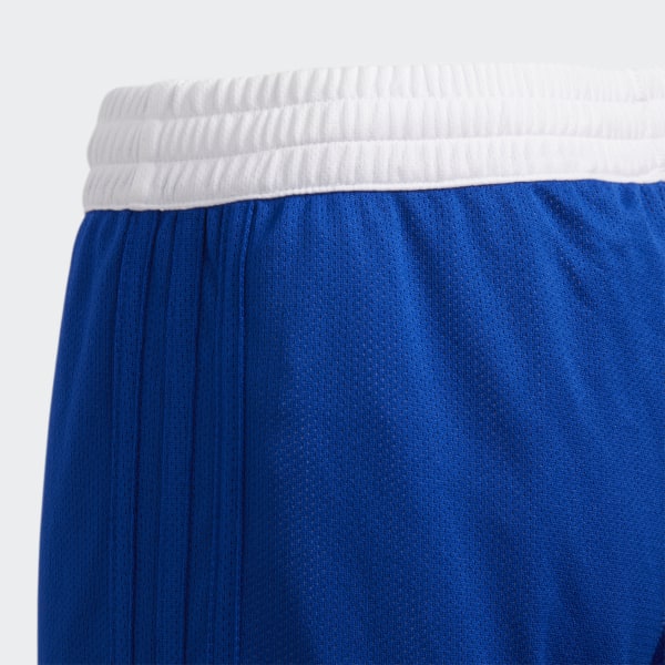 3G Speed Reversible Shorts