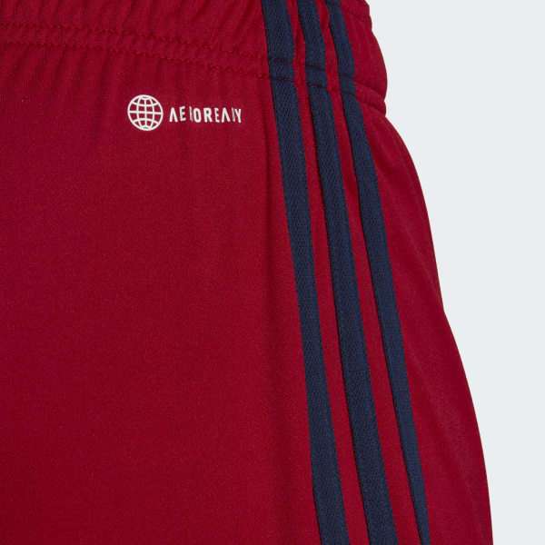 Red Ajax Amsterdam 22/23 Away Shorts ZH158