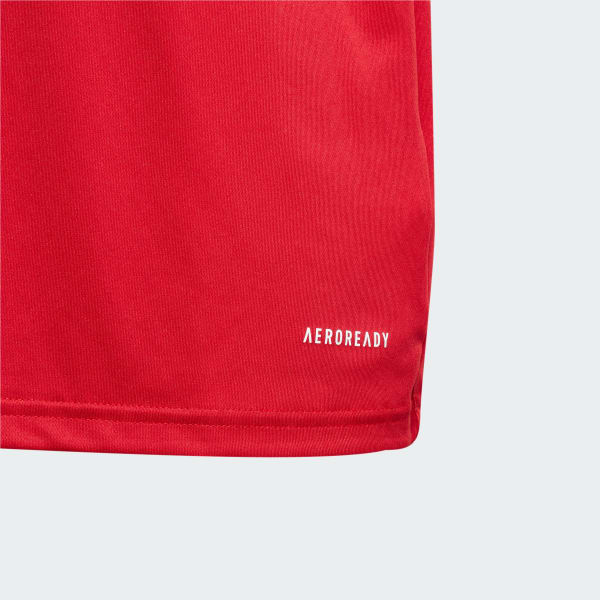 Rojo Playera Fortore 23
