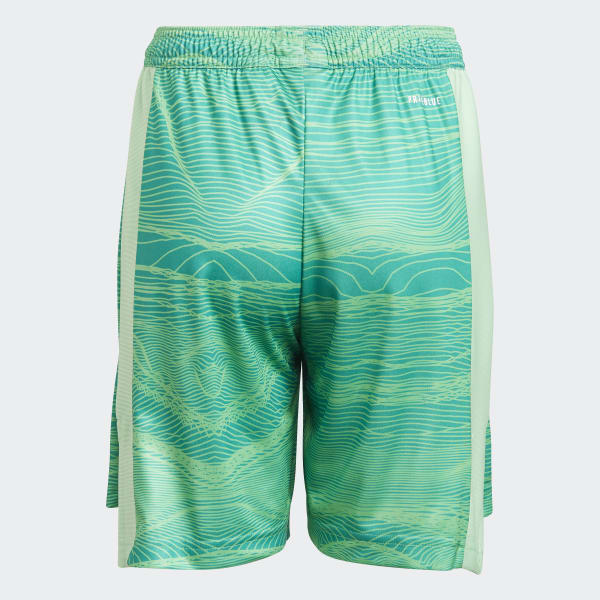 Groen Arsenal 21/22 Keepersshort Thuis