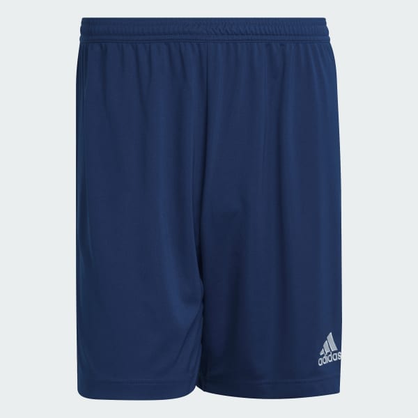 Niebieski Entrada 22 Shorts