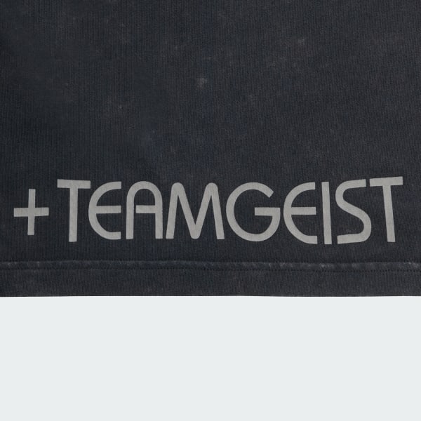 アディダス Adilenium シーズン4 チームガイスト グラフィック