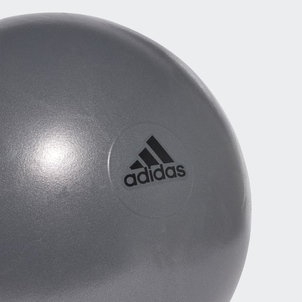 Γκρι Gymball