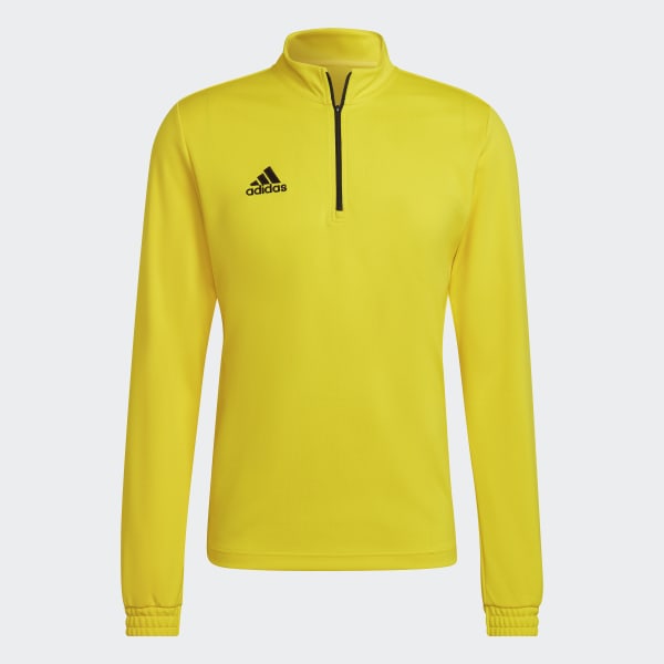 adidas Entrada 22 Training Top Yellow adidas Ireland
