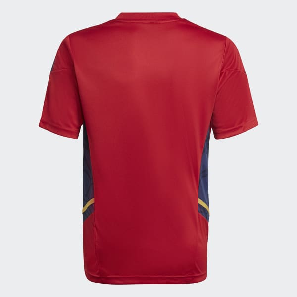 Rosso Maglia da allenamento Condivo 22 Ajax Amsterdam
