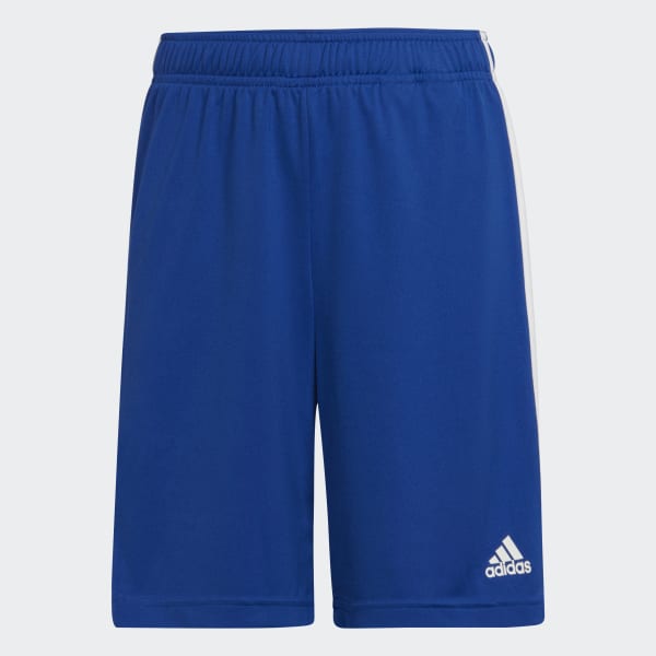 Blue Sereno Shorts