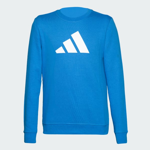 Blue Full Sleeve Sweatshirt