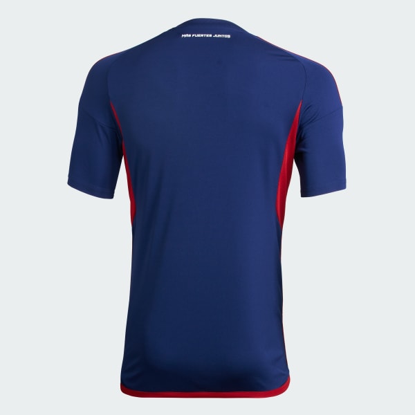 Gris Camiseta Tercera DIM 2024