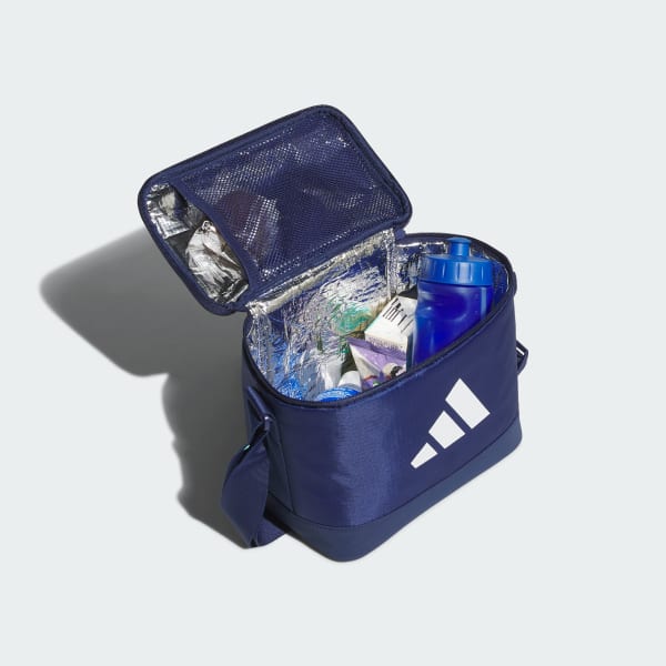 Blue Cooler Bag