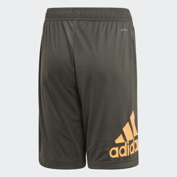 Training Equipment Shorts