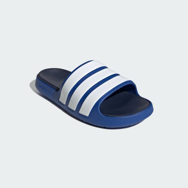 Blue Znsory Slides